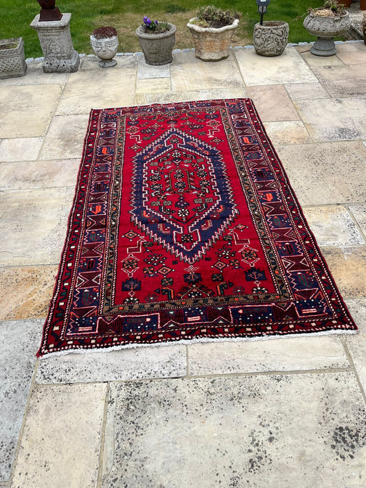 Beautiful Hand-woven Persian Hamadan rug