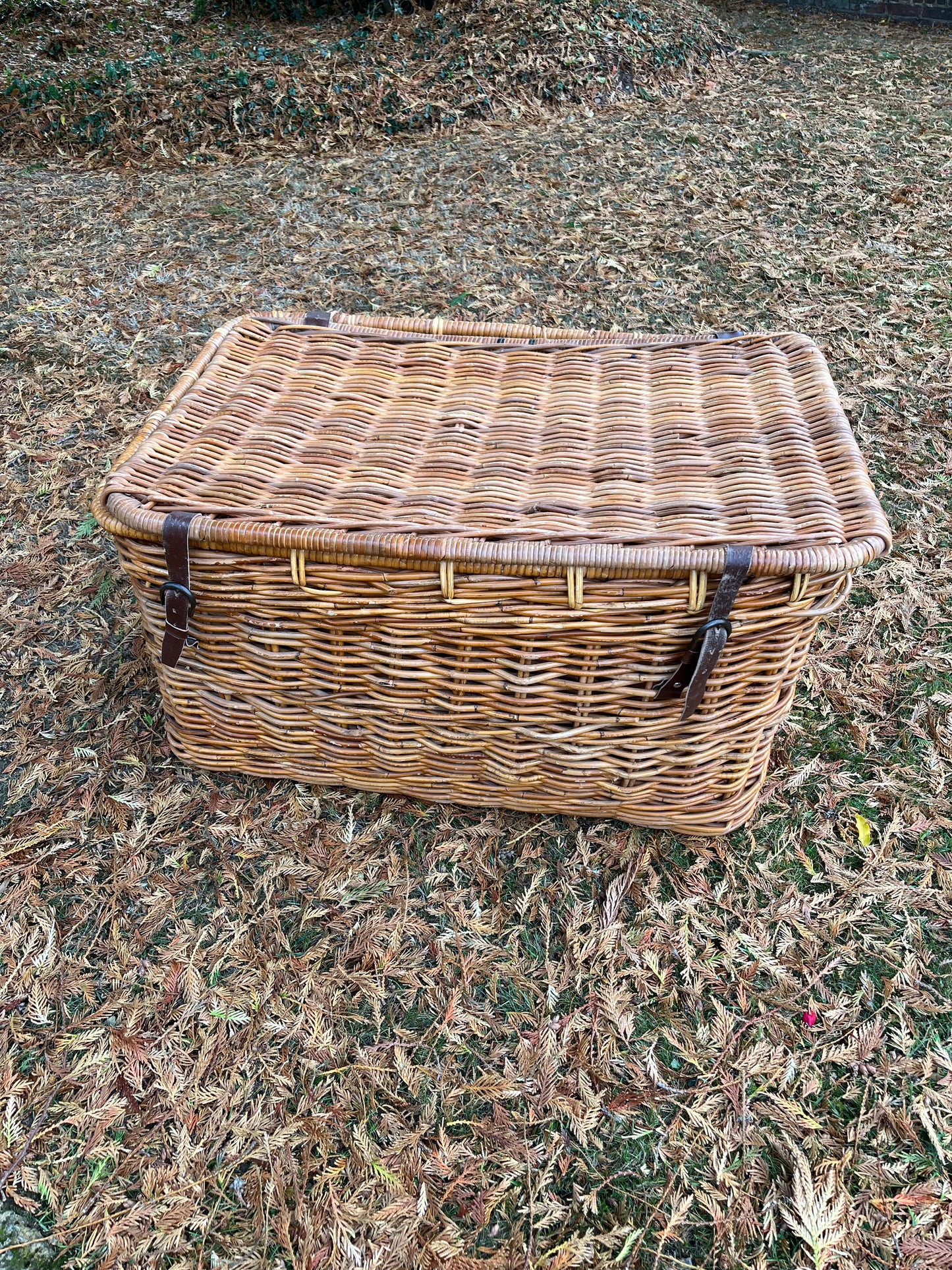 Extra Large Wicker Basket/Hamper with lid, side handles & leather buckle straps